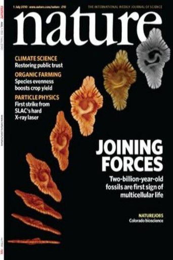 Deux milliards d'années au Gabon poster