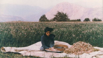 The Pear Tree (1998)