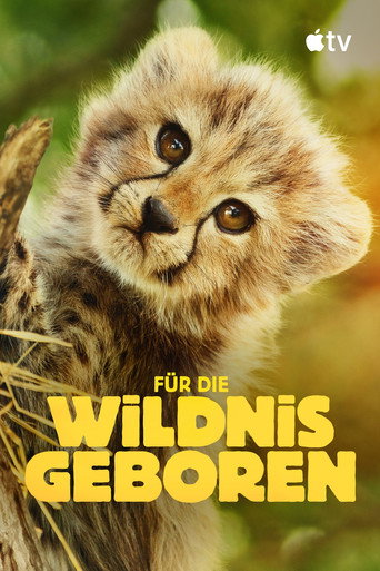 Born to Be Wild — Posters 22