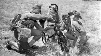 Galeria 2 - The Negro Soldier