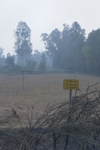 O Que Farei Quando Tudo Arde poster