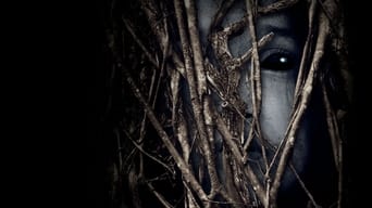 Galeria 4 - Behind the Trees