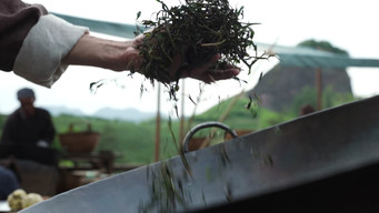 Episode 17 — Episode 17