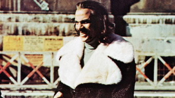 Super Fly T.N.T. (1973)