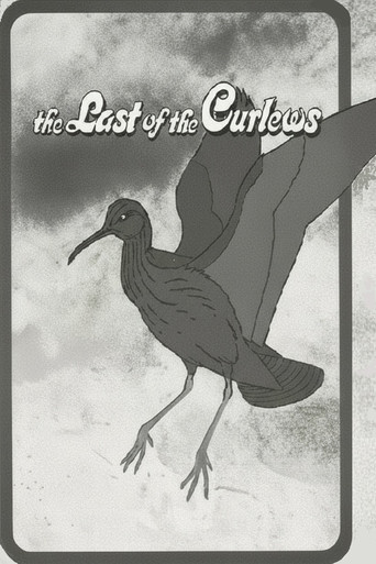 The Last of the Curlews