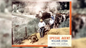 #9 Special Agent