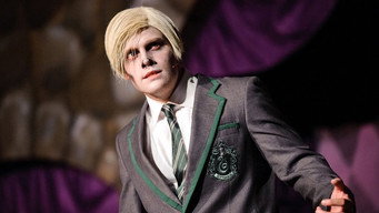 A Very Potter Senior Year (2013)