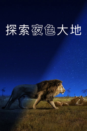 探索夜色大地
