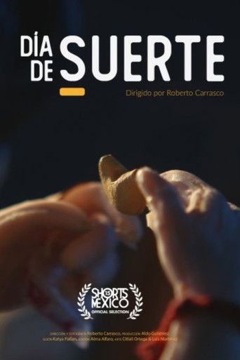 Día de suerte poster