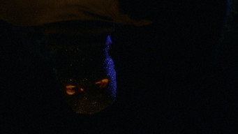 #37 Prom Night