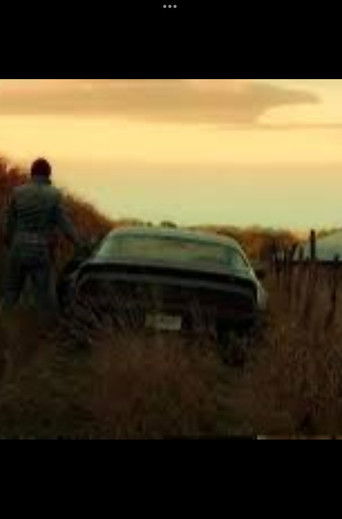 The Phantom Firebird poster