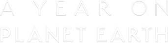 A Year on Planet Earth logo