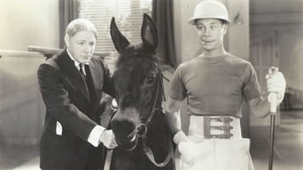 Polo Joe (1936)
