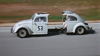 #31 The Love Bug