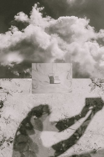 The Reflecting Sun poster