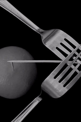 The Equilibrists poster