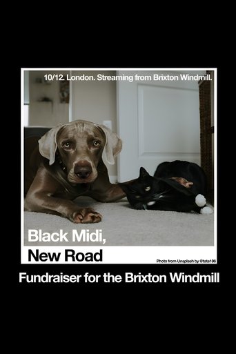 Black Midi, New Road: 'Live at The Windmill, Brixton.' (2020)