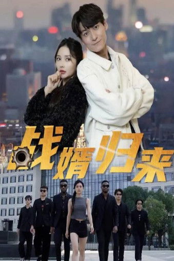 战婿归来 poster