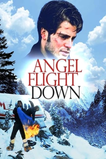 Poster för Angel Flight Down