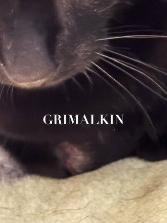 Grimalkin afişi