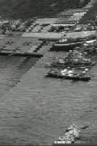Amsterdam Water Festival and Rowing Competitions