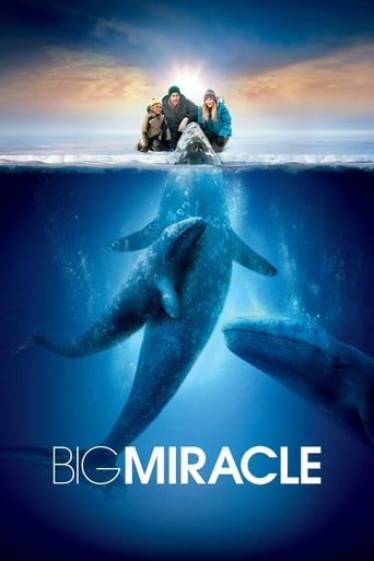 Poster för Big Miracle