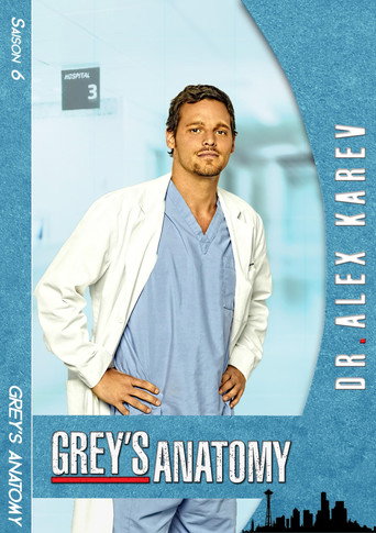 Grey's Anatomy - S6 - Poster