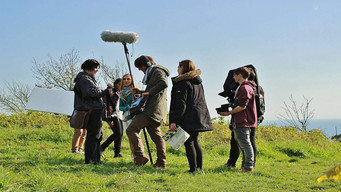 Galeria 3 - Cat Skin