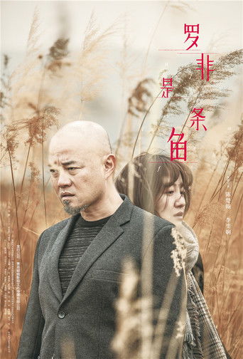 罗非是条鱼 poster