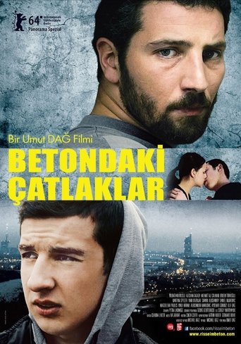 Betondaki Çatlaklar