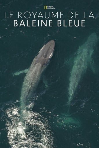 Le royaume de la baleine bleue