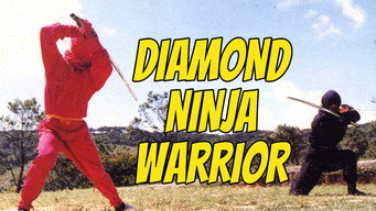 Diamond Ninja Force (1988)