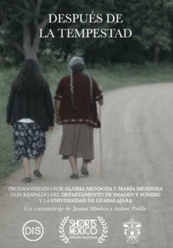 Después De La Tempestad poster