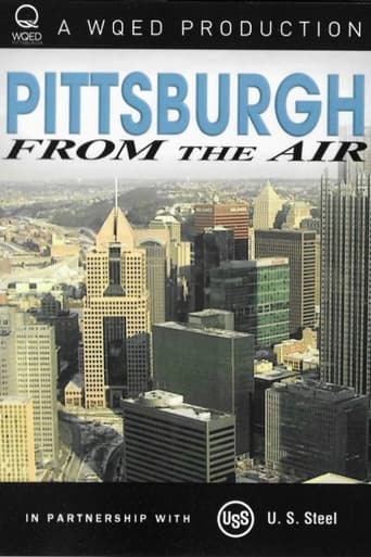 Pittsburgh From the Air