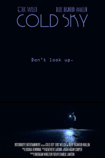 Cold Sky poster