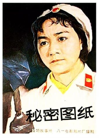 Poster of 秘密图纸