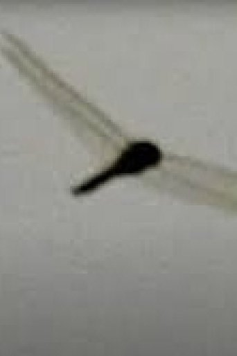 What the Dockers Sang to the Dragonflies poster