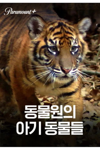 동물원의 아기 동물들