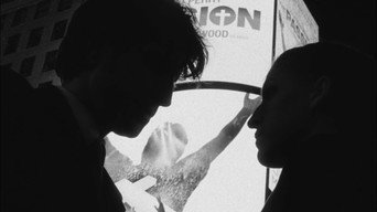 A Window on the World (2017)