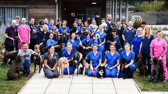 24/7 Pet Hospital (2023- )