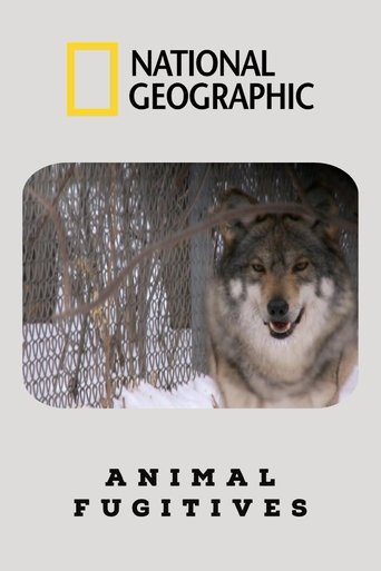 Animal Fugitives: Season 1