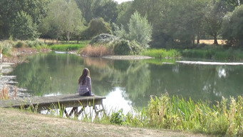 Friday At The Pond (2026)
