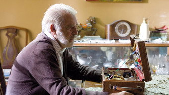 Insignificant Things (2008)
