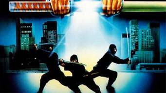 Ninja in Action (1987)