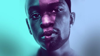 Galeria 3 - Moonlight