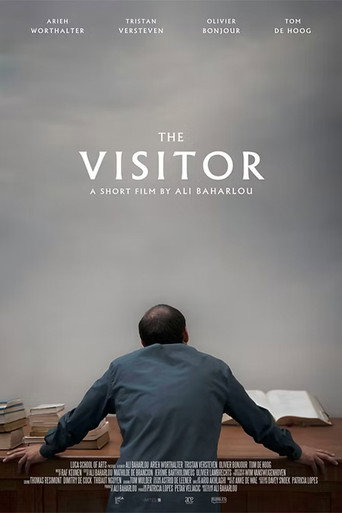 The Visitor