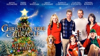 A Miracle on Christmas Lake (2016)