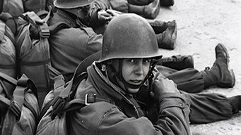 Pacification en Algérie (2002)