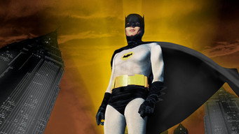 Galeria 5 - Batman
