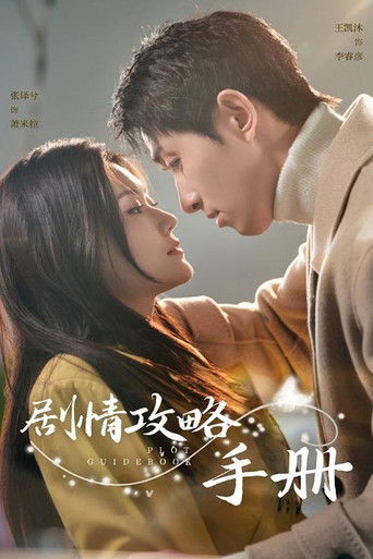 剧情攻略手册 poster